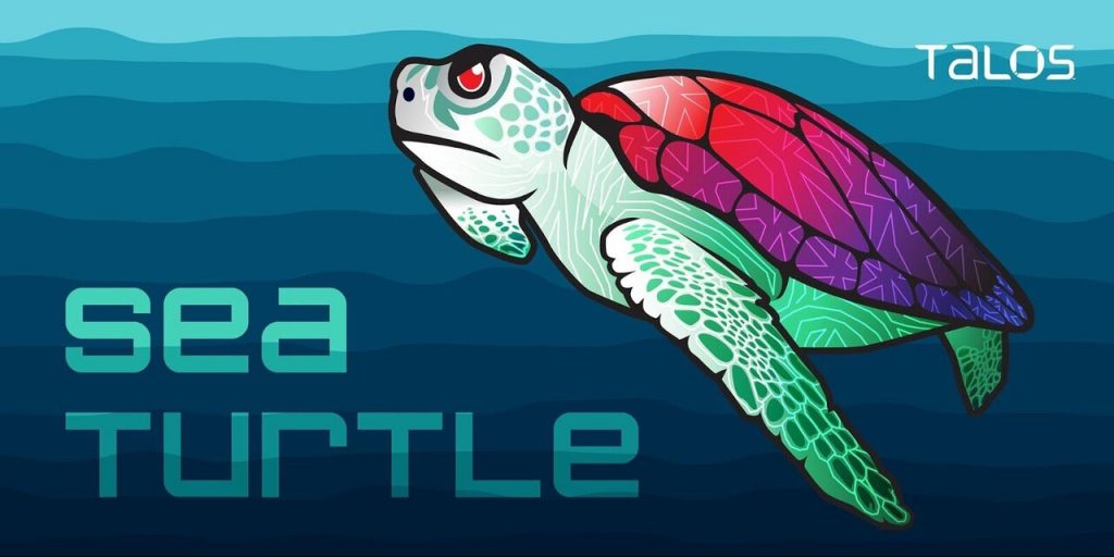 Sea Turtle