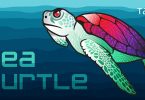 Sea Turtle
