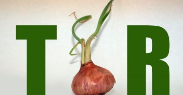 tor onion