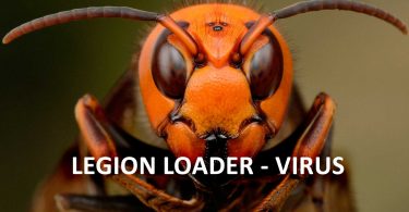 Legion Loader Virus
