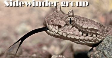 Grouping Sidewinder on Google Play