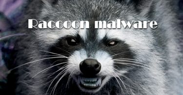 Raccoon malware steals data