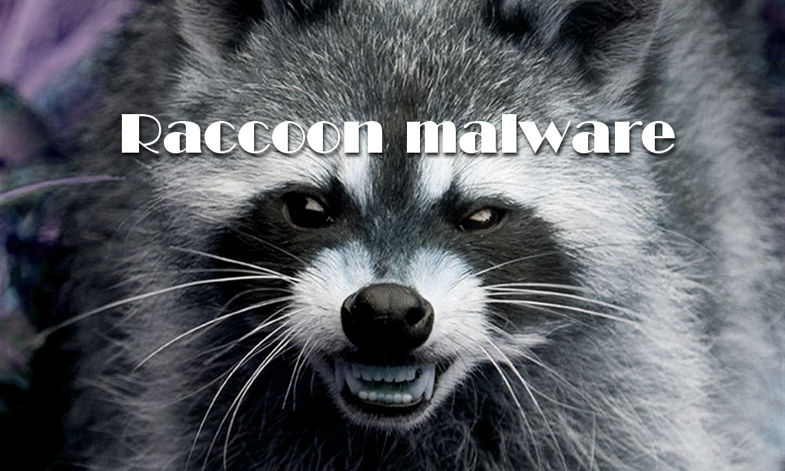 Raccoon malware steals data