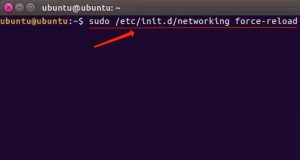 sudo /etc/init.d/networking force-reload