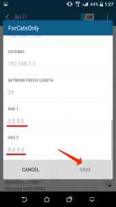 Define Google DNS 8.8.8.8 and 8.8.4.4 as DNS1 and DNS2