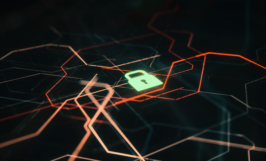 Maze terminates activity