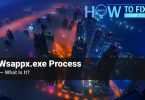 What is wappx.exe process?