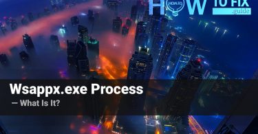 What is wappx.exe process?