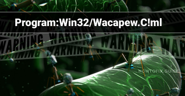 Program:Win32/Wacapew.C!ml (Trojan Wacapew)