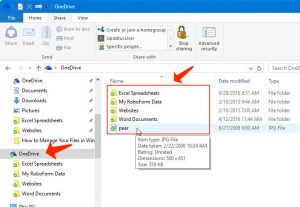 file explorer - OneDrive folder