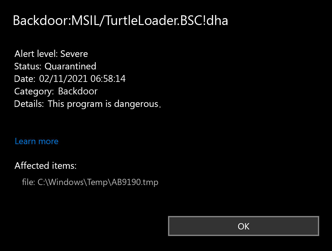 Backdoor:MSIL/TurtleLoader.BSC!dha found