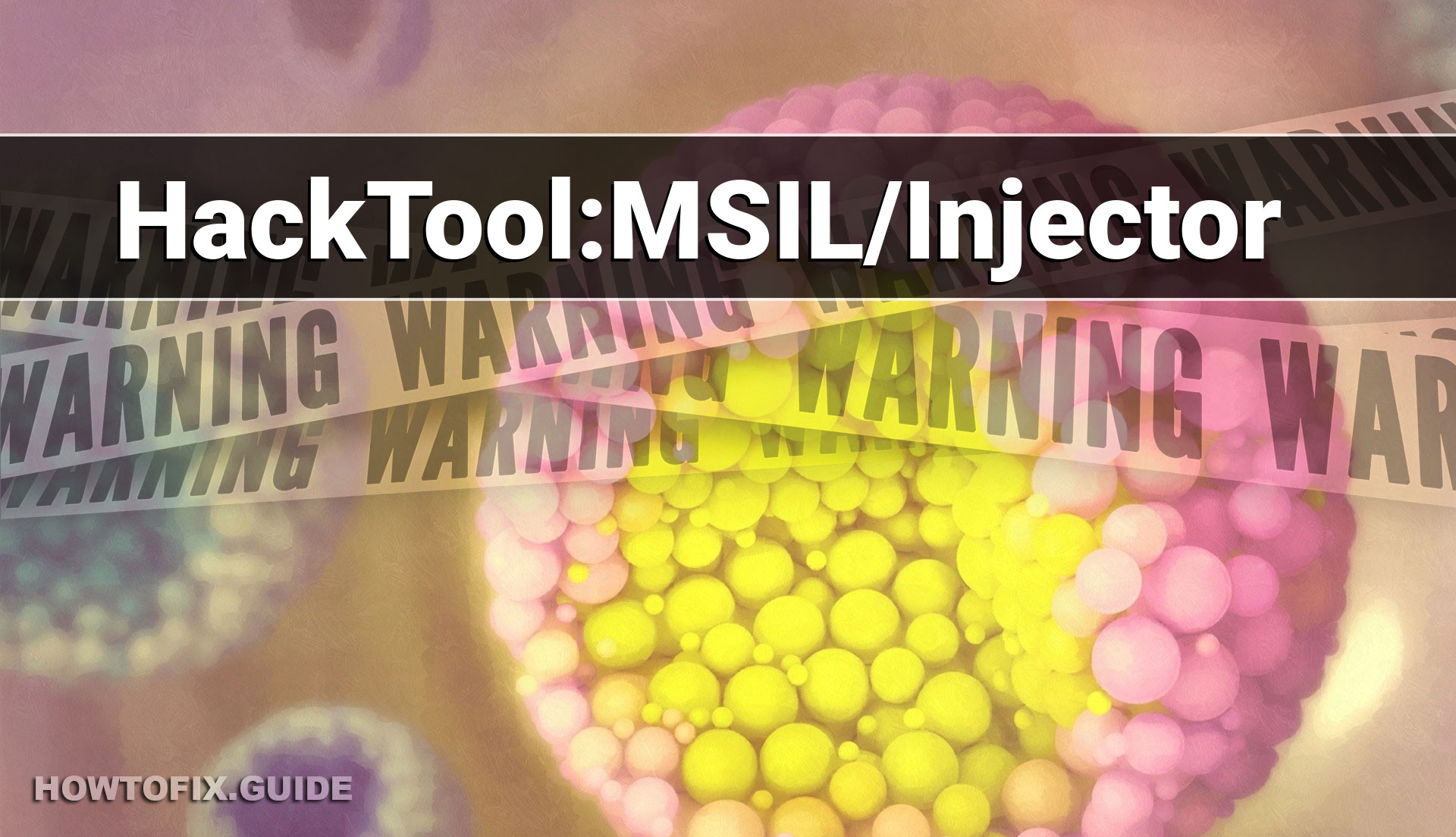 HackToolMSIL/Injector (Injector HackTool) — Virus Removal Guide