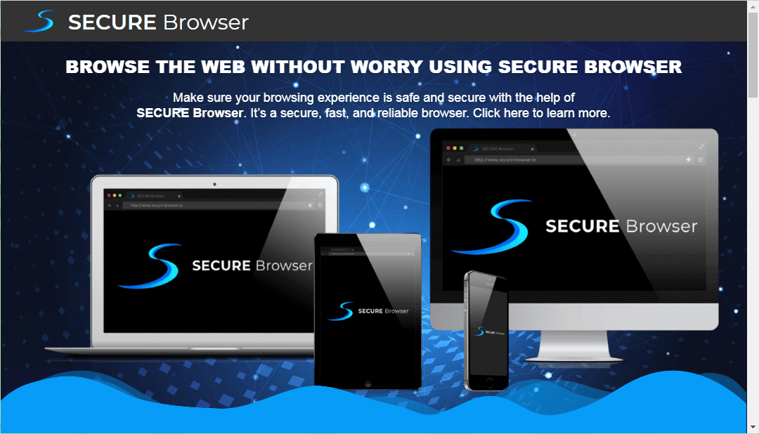 Secure Browser Website