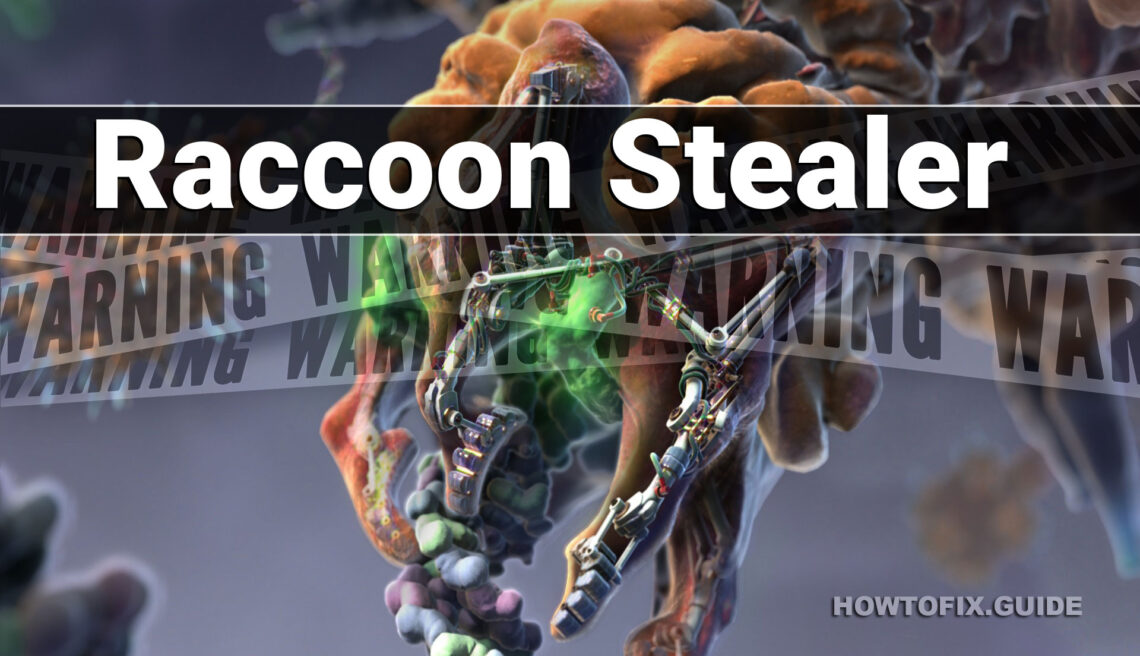 What is a Raccoon Stealer - Analysis and Review