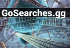 GoSearches