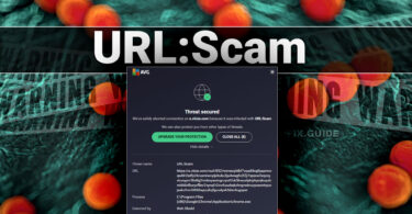 What is URL:Scam Alert