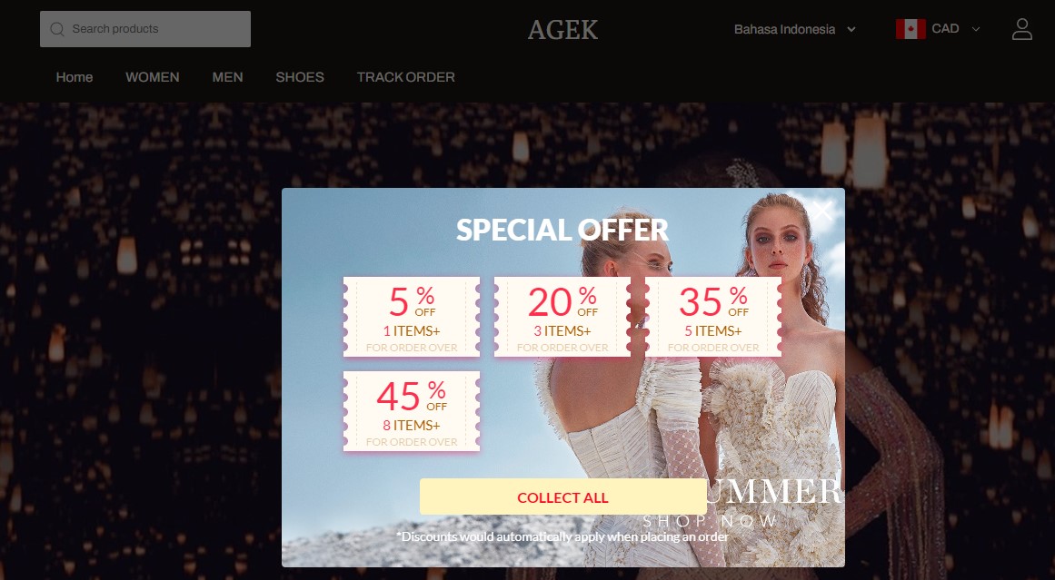 Scam site: agek.shop