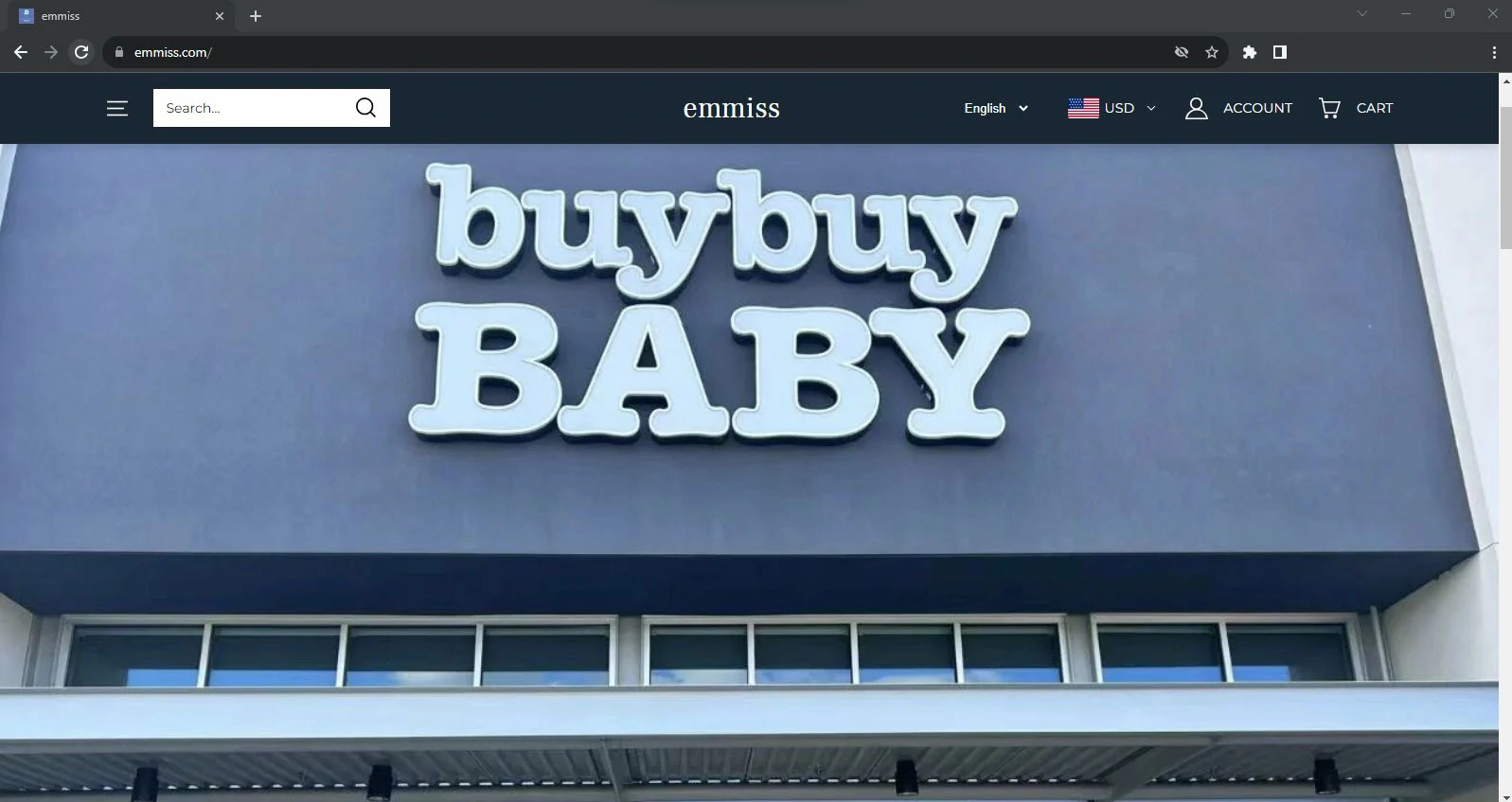 Fake Buy Buy Baby store