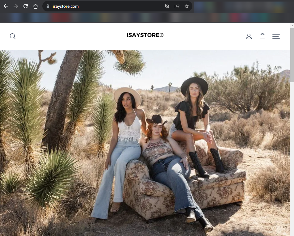 Isaystore.com main page screenshot