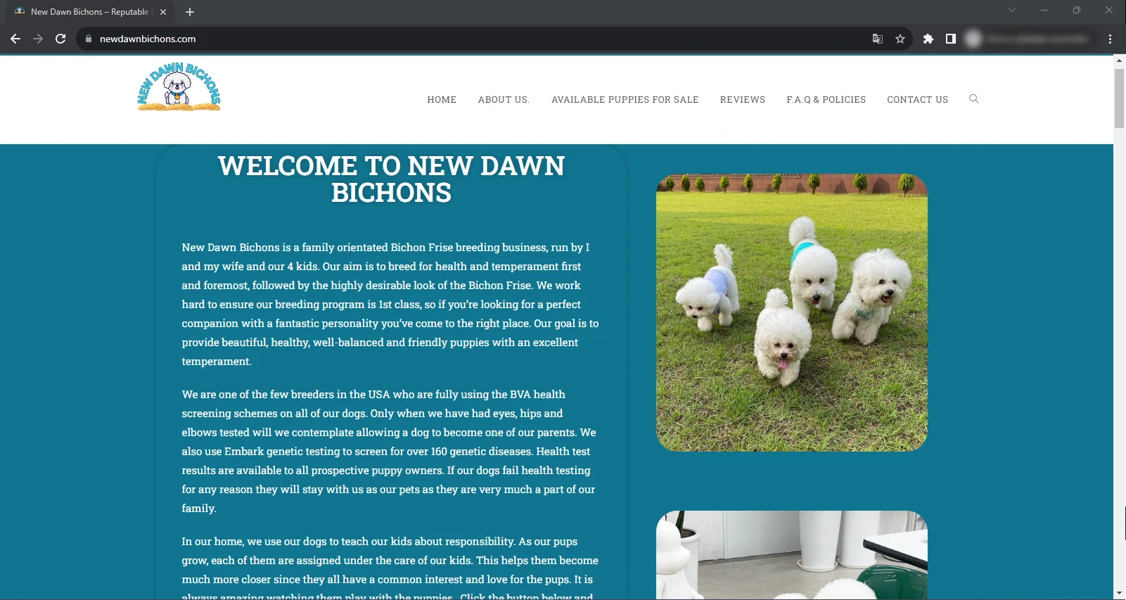 Newdawnbichons.com