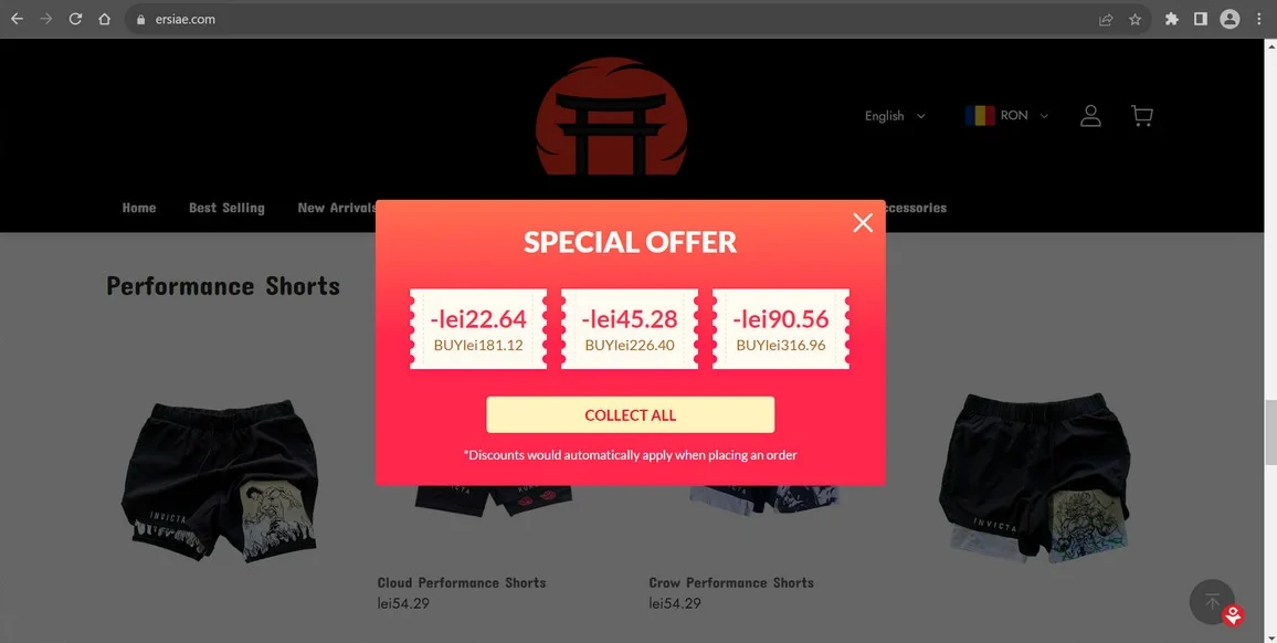 One of Fake Online Stores screenshot