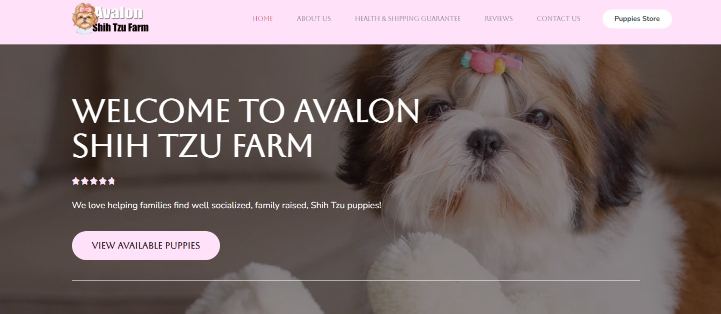 Avalonshihtzufarm.com – A Fake Puppy Scam Site