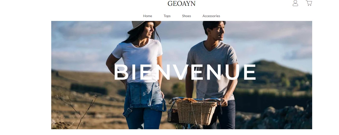 Geoayn.com Scam Store