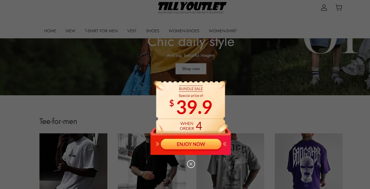 Tillyoutlet.com scam website