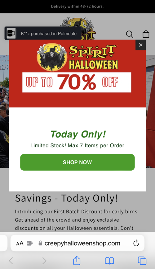 CreepyHalloweenShop.com Scam screenshot