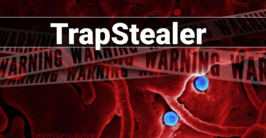 What is TrapStealer?