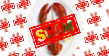 What is Top Maine Lobster Scam?