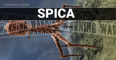 What is Spica Malware?