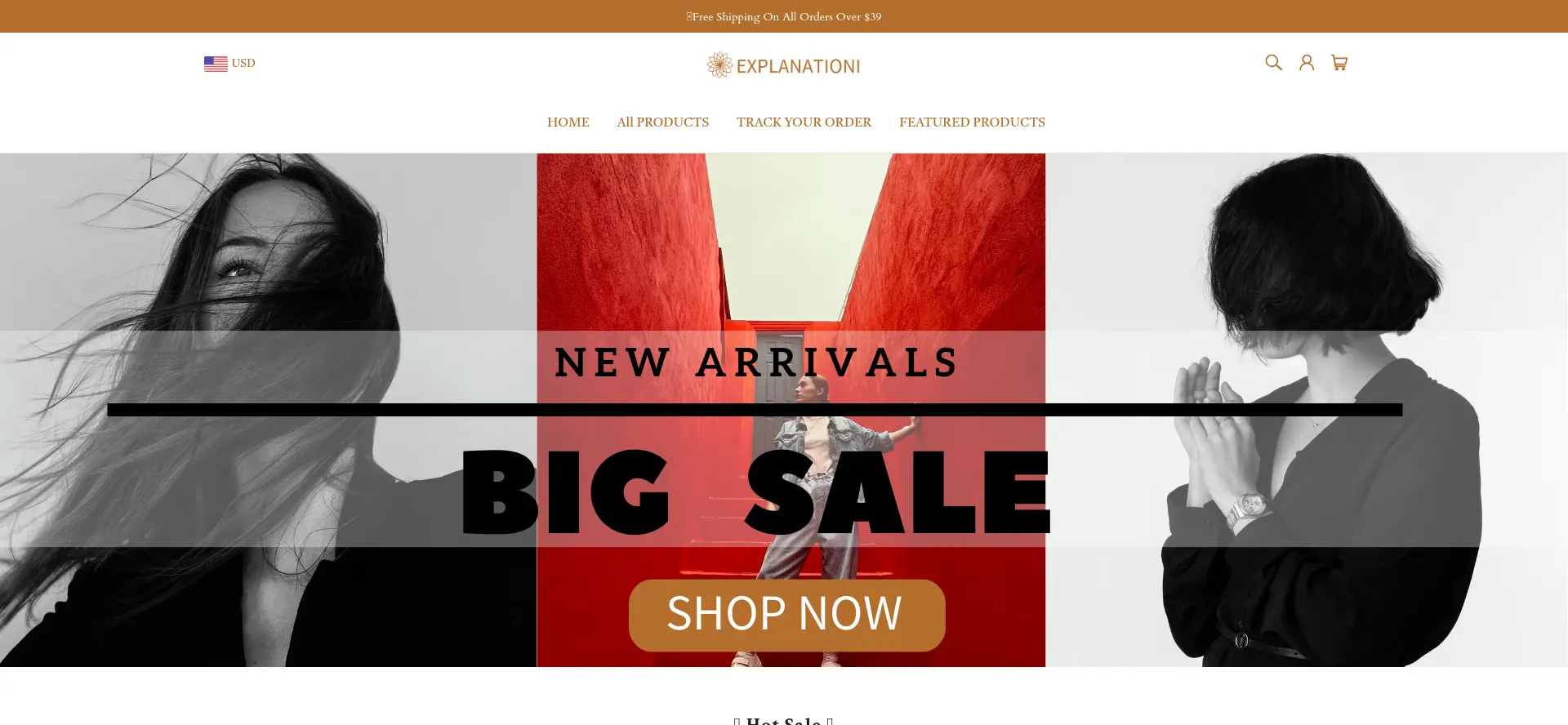 Explanationi.com Scam