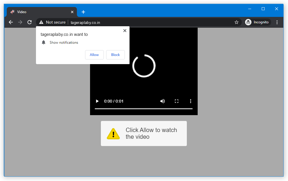 Tageraplaby.co.in push notification